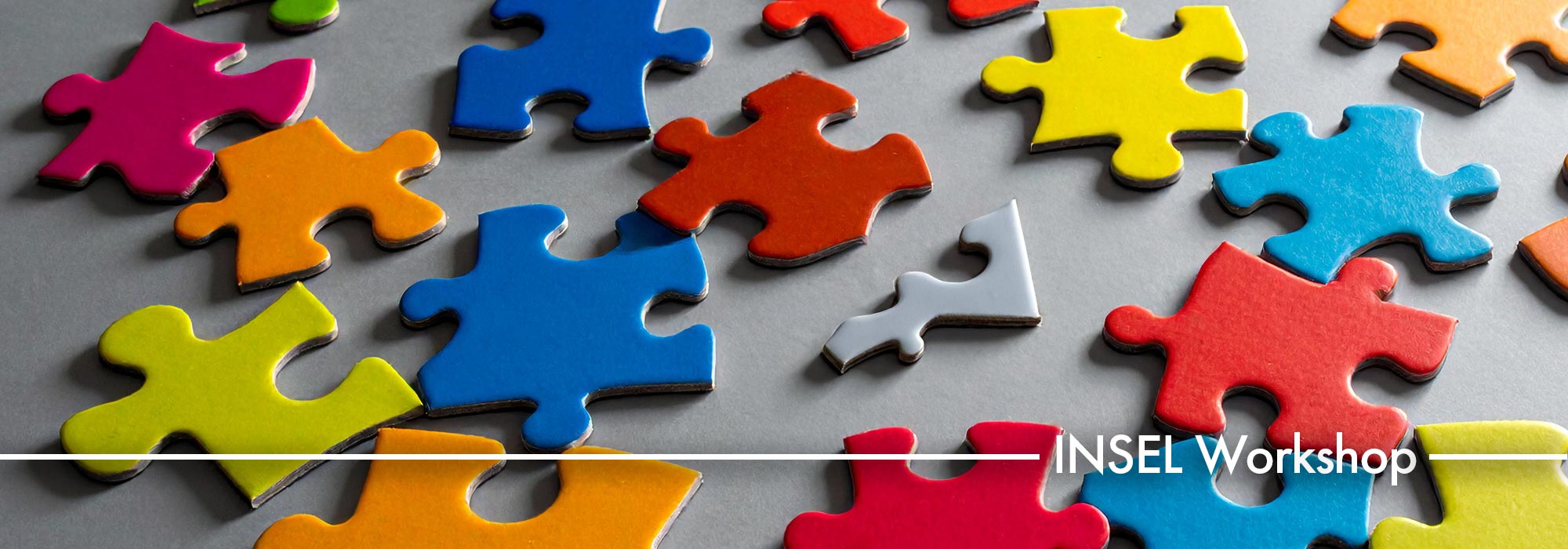 INSEL Workshop
